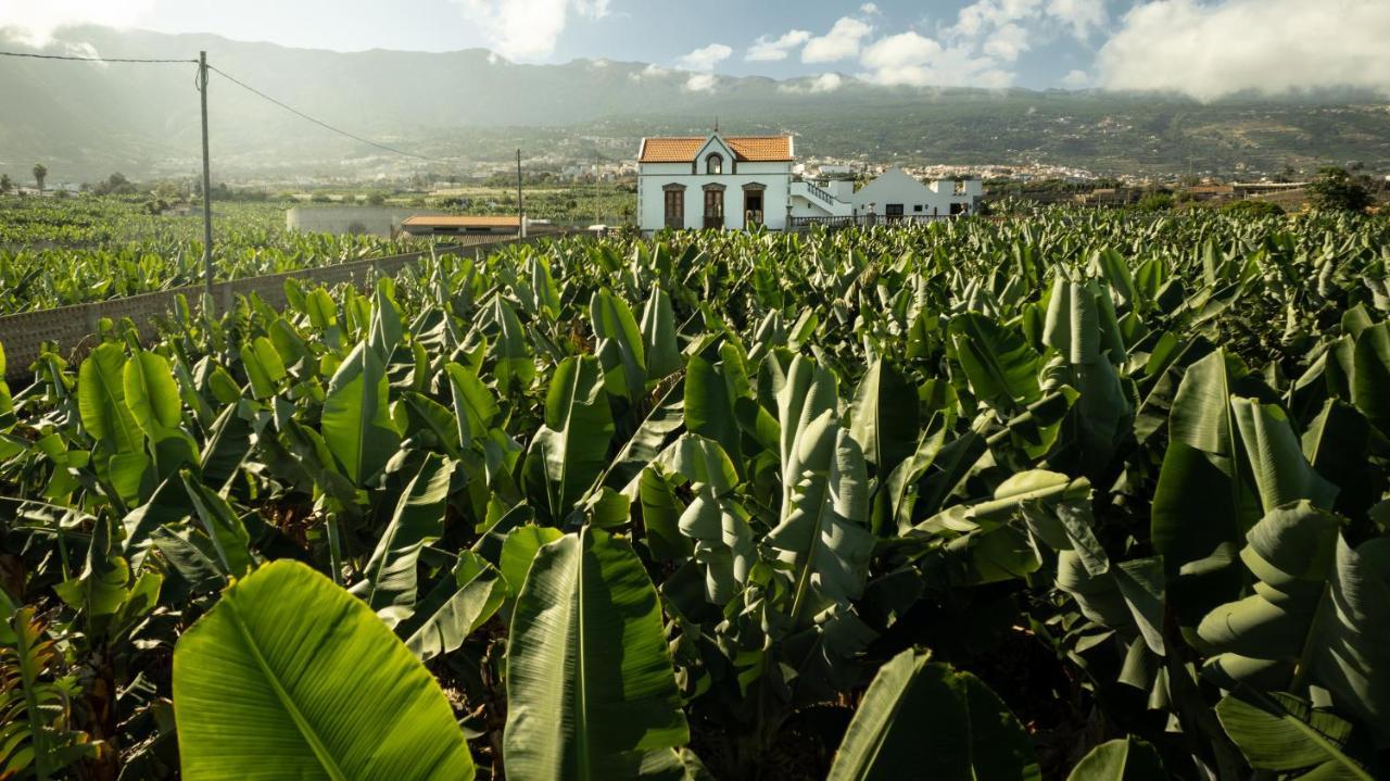 Hacienda Los Orovales Puerto de la Cruz  Exterior foto